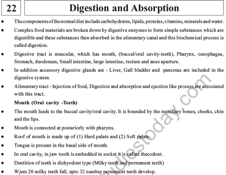 NEET Biology Digestion and Absorption pdf MCQ